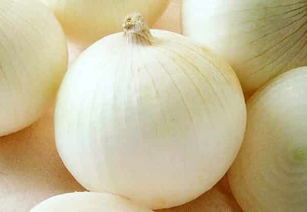 Sierra Blanca Hybrid Onion Seeds - Blessings Grow Meadows