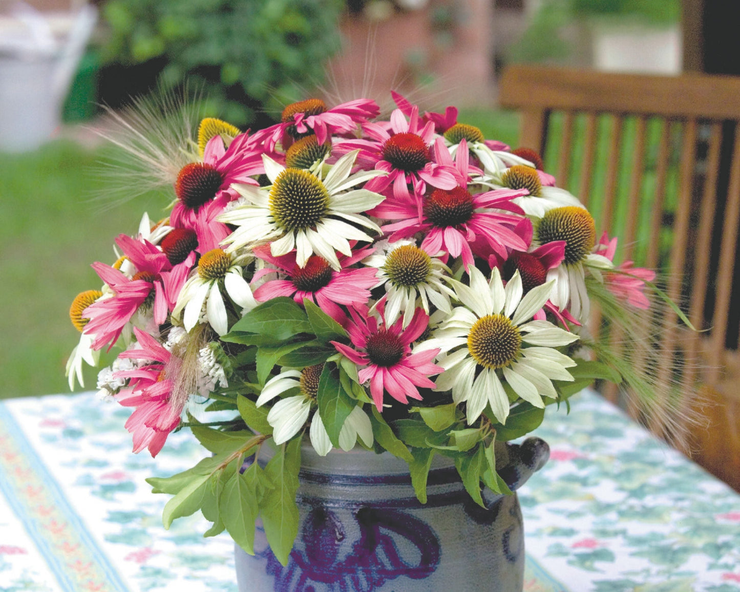 Primadonna Mix Echinacea seeds packet from Seeds 'n Such, featuring vibrant flower seeds for garden planting and landscaping.