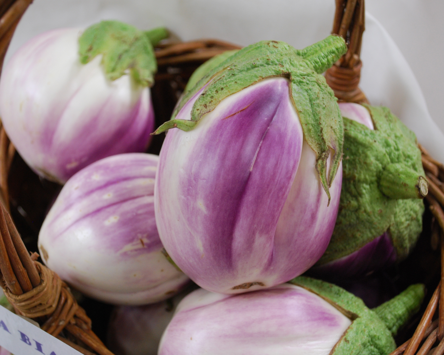 Packet of Seeds 'n Such Rosa Bianca Eggplant Seeds showing a close-up of seed packet with 25 seeds for growing Rosa Bianca eggplants.