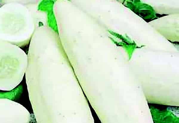 White Wonder Cucumber seeds packet from Seeds 'n Such, featuring a packet with 25 cucumber seeds on a white background.