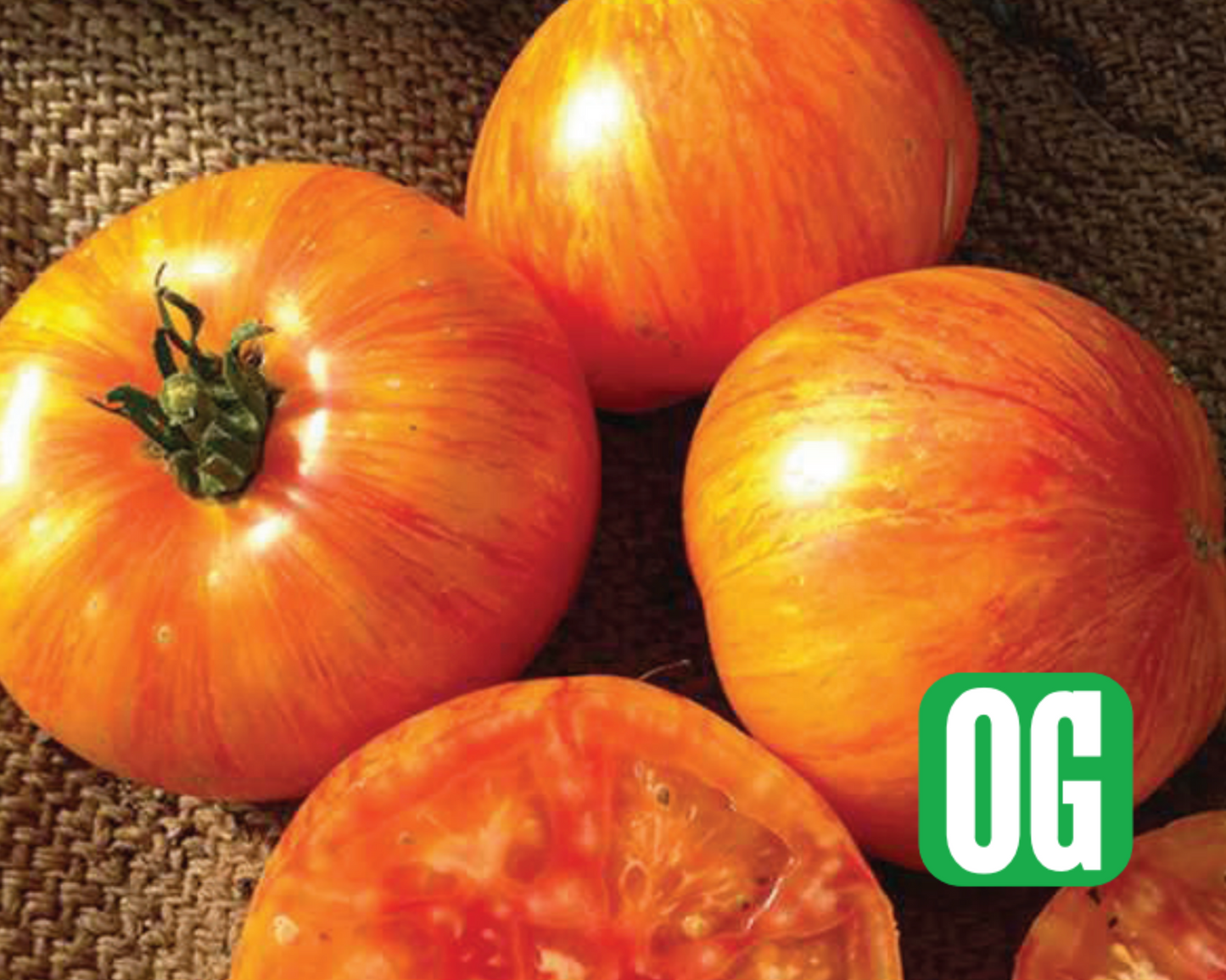 Packet of Seeds 'n Such Beauty King Tomato Seeds showing a colorful seed packet with 25 to 30 tomato seeds.