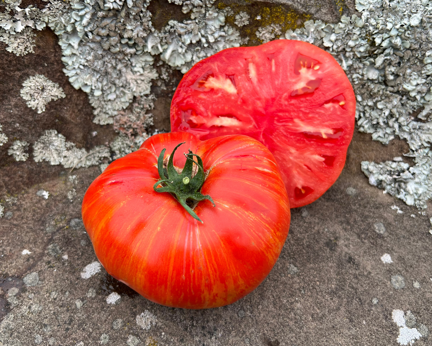 Packet of Seeds 'n Such Beefy Red Tomato Seeds showing 25 to 30 seeds for planting and gardening.
