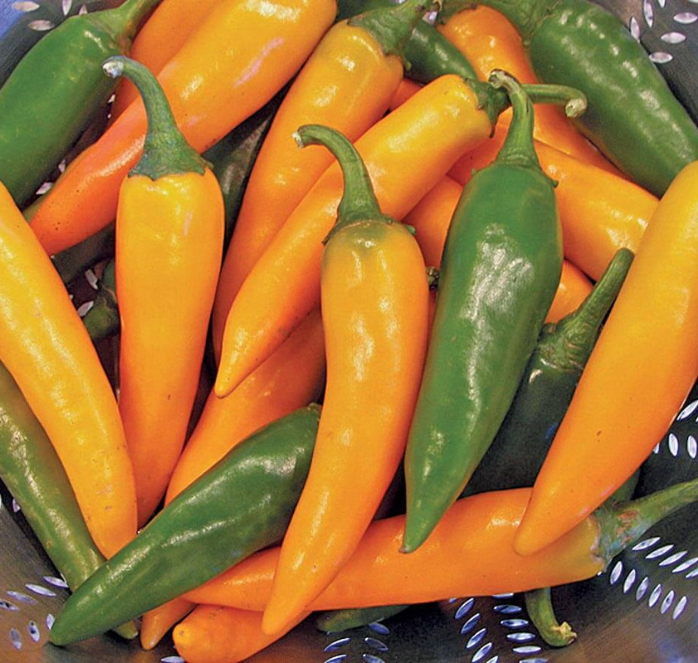 Bulgarian Carrot Chile Pepper Seeds from Seeds 'n Such in a packet with 25 to 30 seeds, ready for planting and growing spicy peppers.