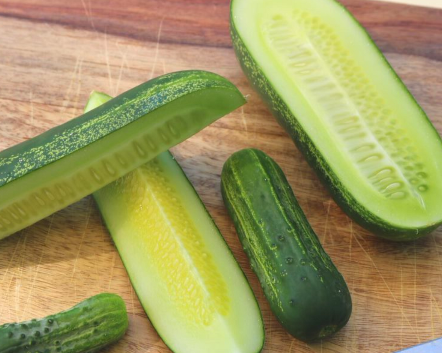Packet of Seeds 'n Such Eureka Hybrid Cucumber Seeds showing 25 to 30 cucumber seeds in a labeled packet.