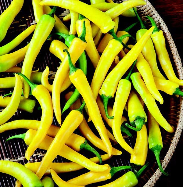 Golden Cayenne pepper seeds from Seeds 'n Such in a packet with 25 to 30 seeds, ready for planting.