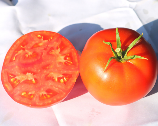 Packet of Seeds 'n Such Jetsetter Hybrid Tomato Seeds showing 25-30 seeds in the packet for planting.