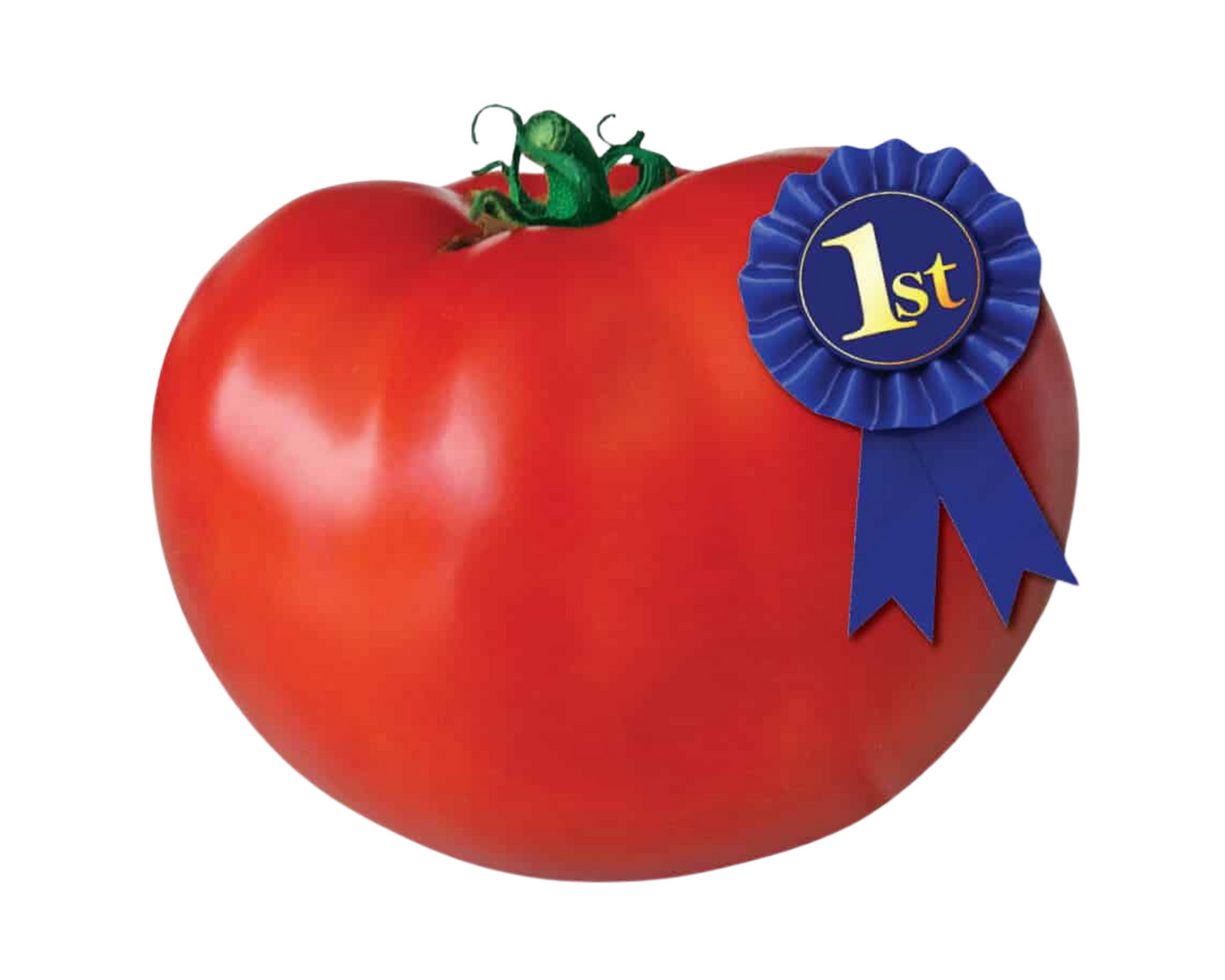 Packet of Seeds 'n Such Original Blue Ribbon Hybrid Tomato Seeds showing 25 to 30 seeds in a colorful packet.