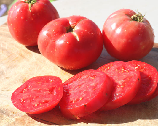 Pink Girl Hybrid Tomato Seeds - Blessings Grow Meadows