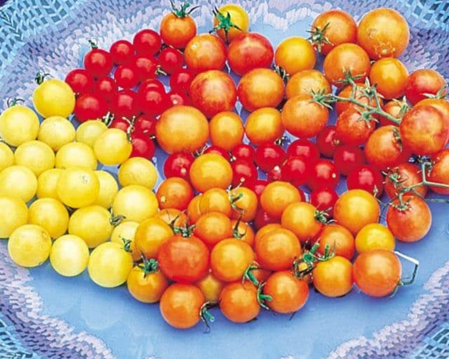 Rainbow Cherry Blend Tomato Seeds packet from Seeds 'n Such showing colorful seed packet for growing cherry tomatoes.