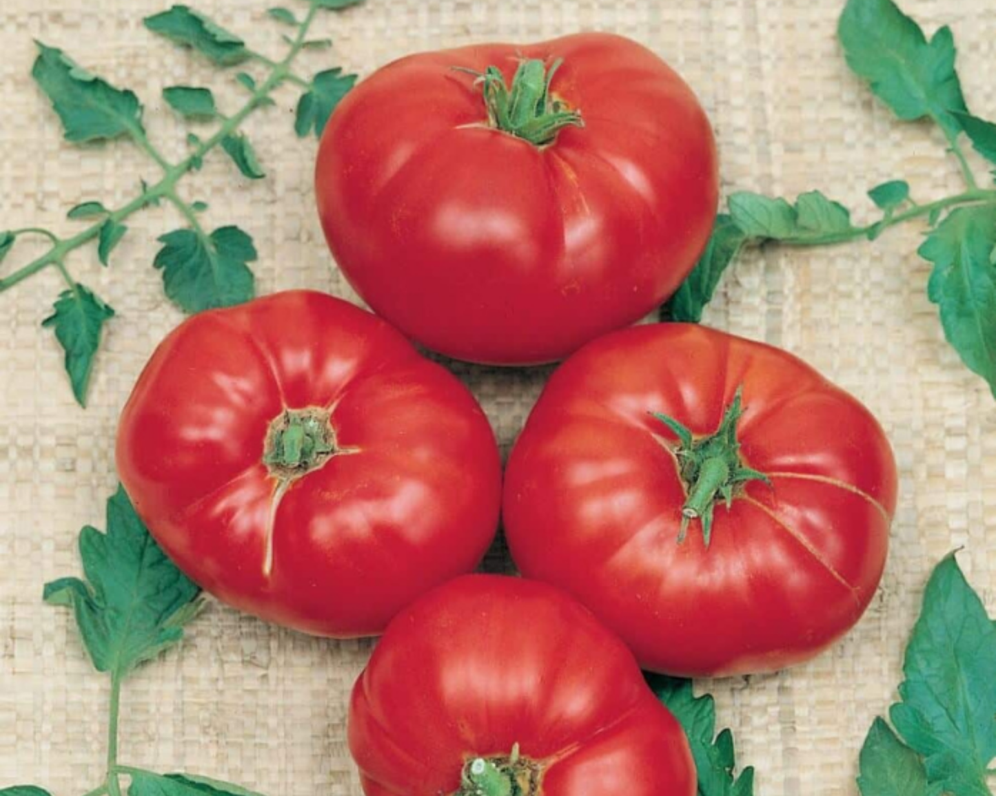 Box Car Willie tomato seeds packet from Seeds 'n Such, featuring 30 seeds of the heirloom tomato variety.