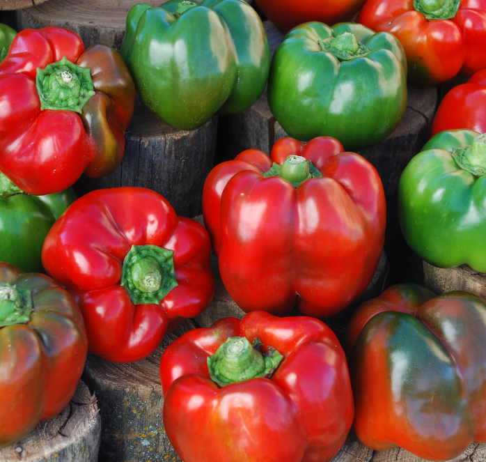 Packet of Seeds 'n Such Bull Nose Bell Pepper seeds showing 30 seeds inside the packet, ideal for home gardening.