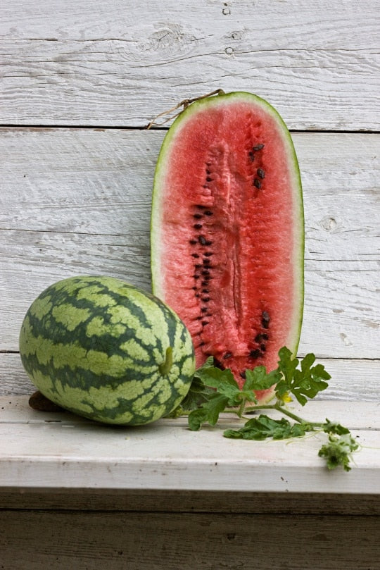 Georgia Rattlesnake Watermelon Seeds - Blessings Grow Meadows