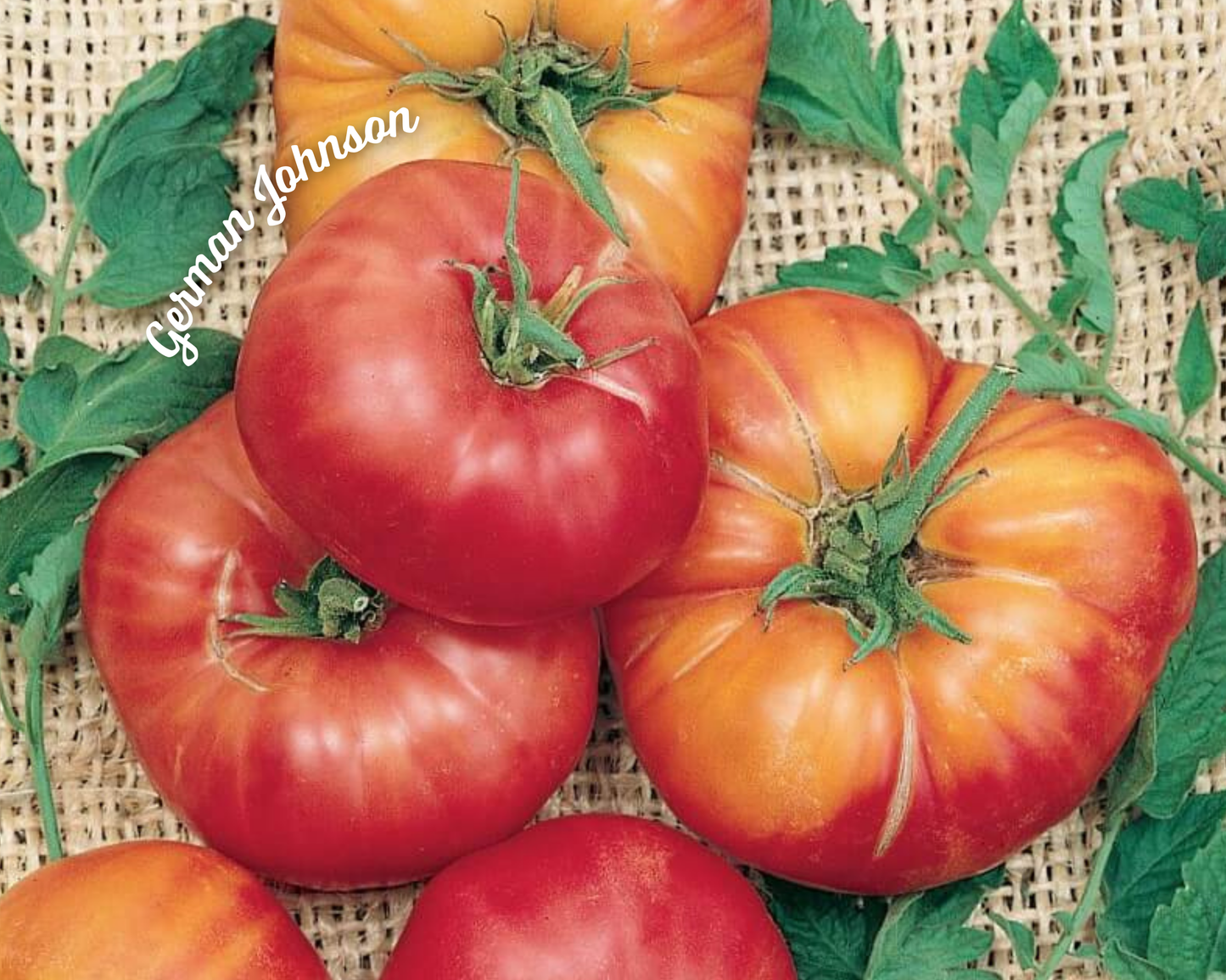 German Johnson Pink Tomato Seeds packet by Seeds 'n Such with 30 seeds for planting and growing vibrant pink tomatoes.