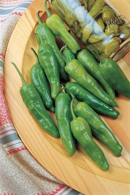 Golden Greek Pepperoncini pepper seeds packet from Seeds 'n Such, featuring 30 seeds for planting and growth.