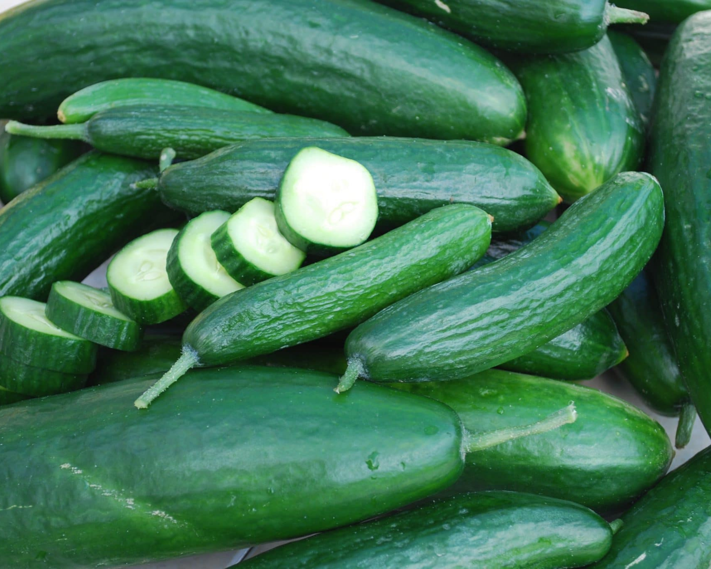 Packet of Seeds 'n Such Muncher Burpless Cucumber Seeds with 30 seeds in a clear seed packet.