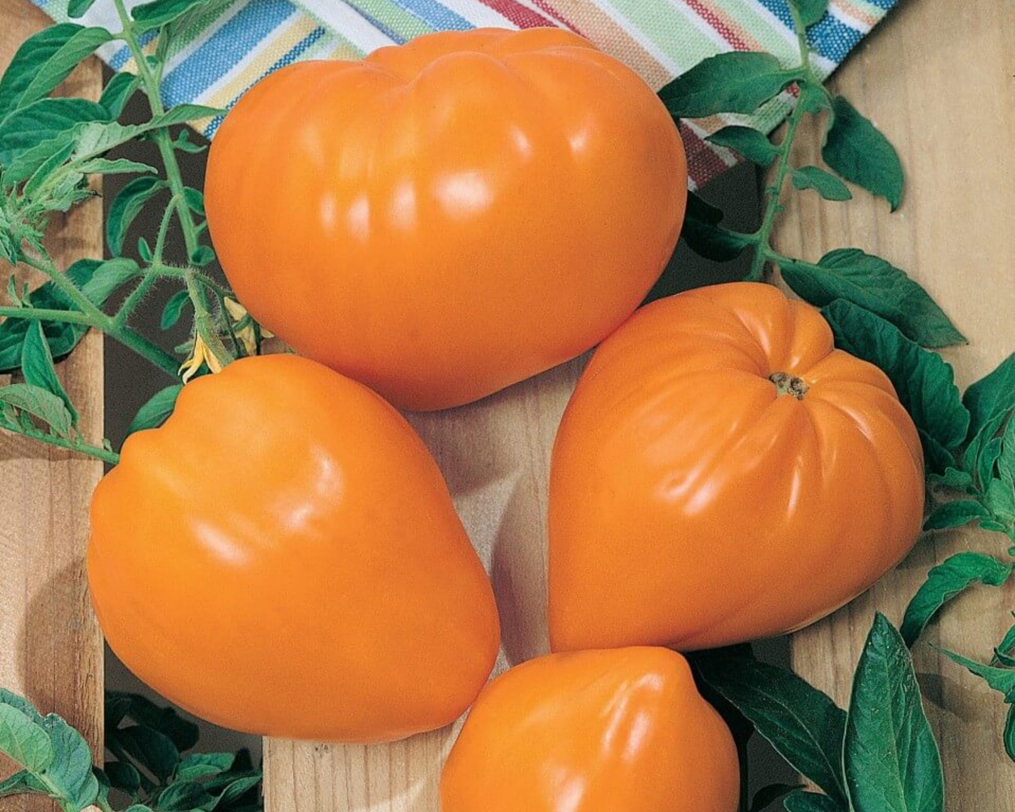Orange Strawberry Tomato Seeds packet by Seeds 'n Such with 30 seeds for planting vibrant, sweet orange strawberry tomatoes.