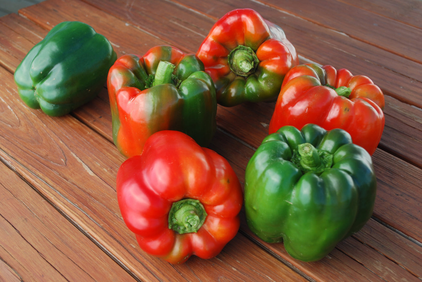 Ozark Giant Pepper Seeds - Blessings Grow Meadows