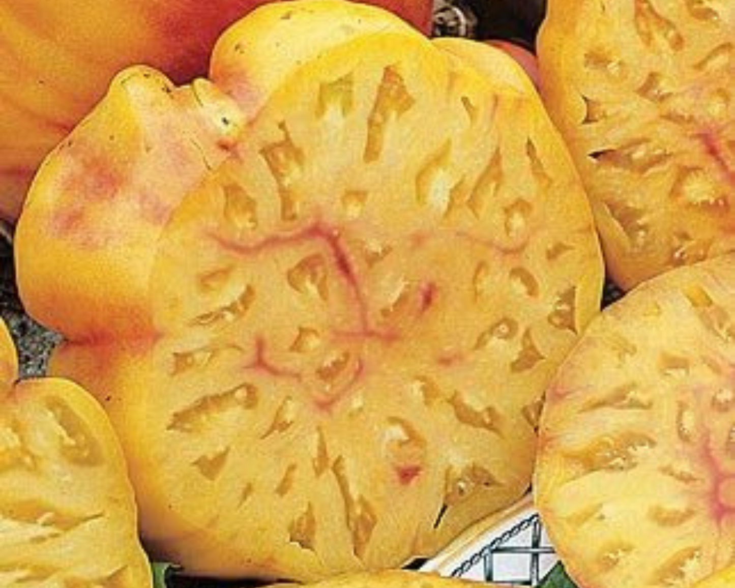 Packet of Seeds 'n Such pineapple tomato seeds showing 30 seeds in a colorful packet for home gardening.