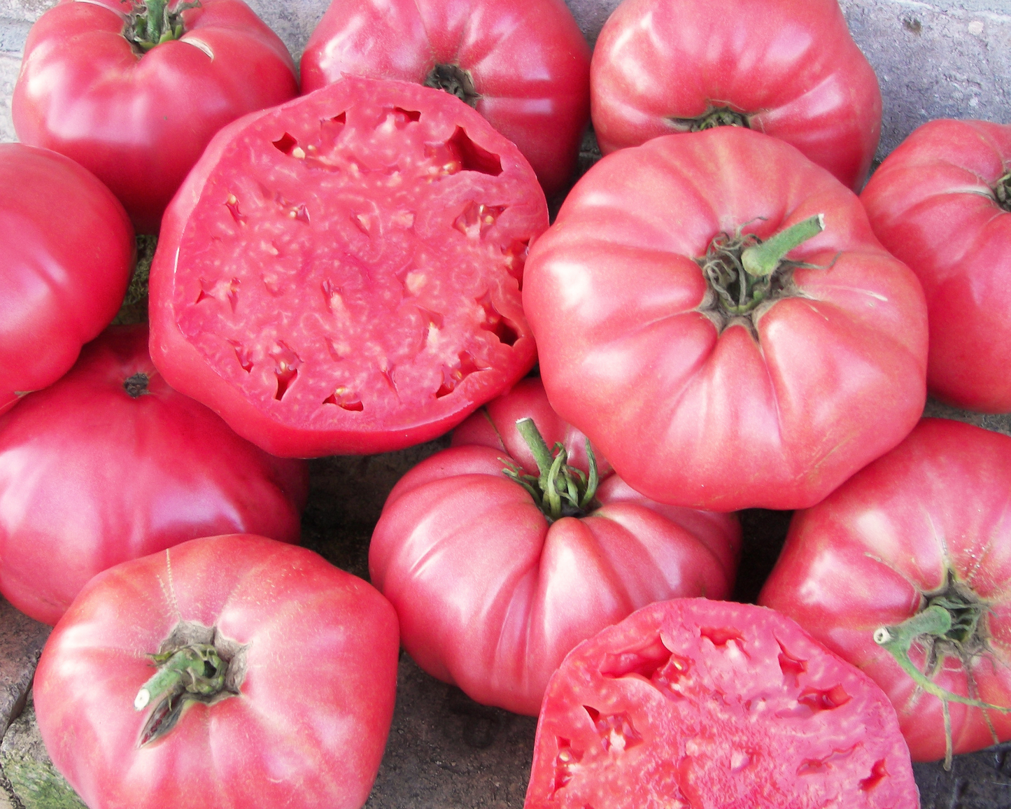 Pink Brandywine Sudduth's Strain tomato seeds packet from Seeds 'n Such, featuring 30 pink heirloom tomato seeds in a colorful packet.