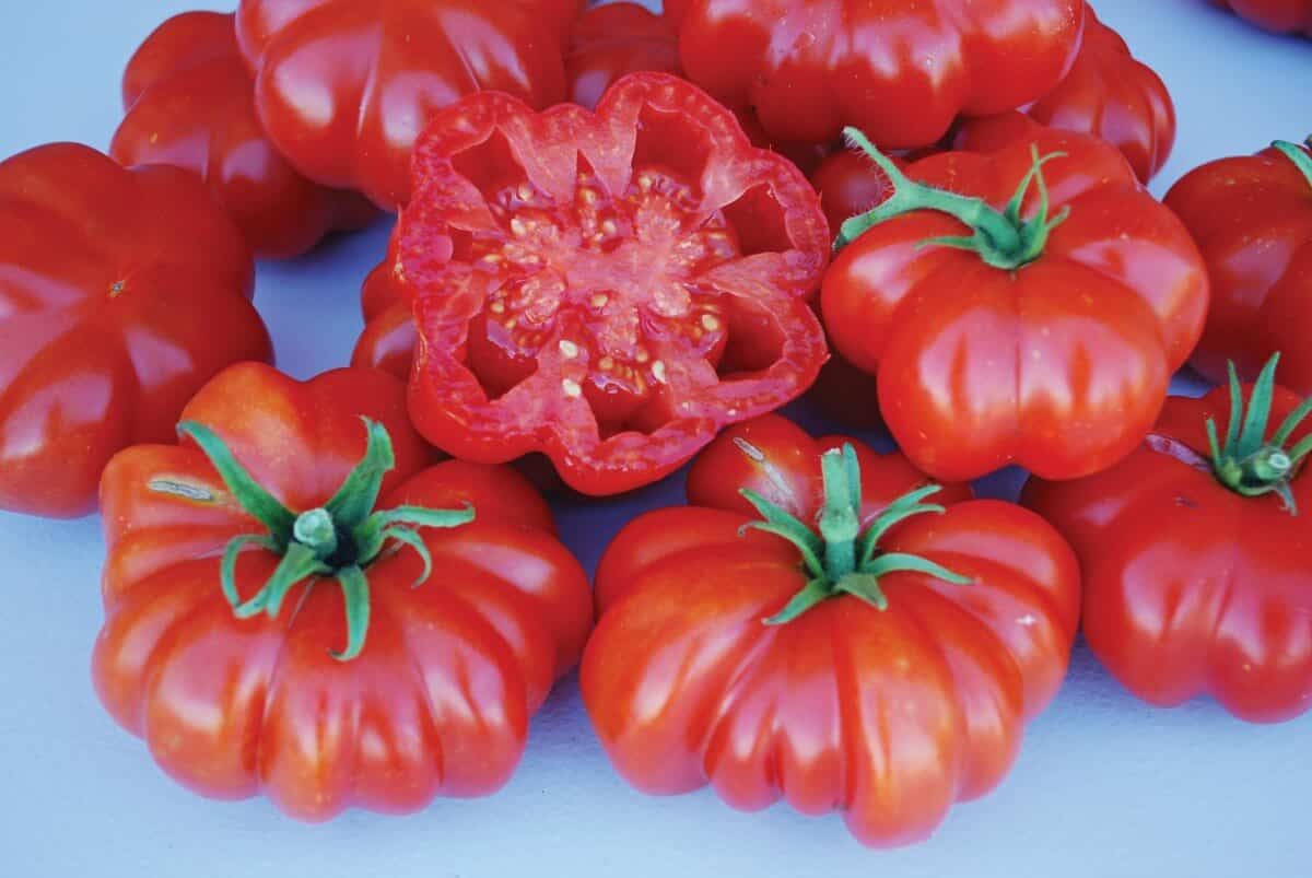 Packet of Rosso Sicilian Tomato Seeds by Seeds 'n Such, showing 30 seeds in a clear seed packet.