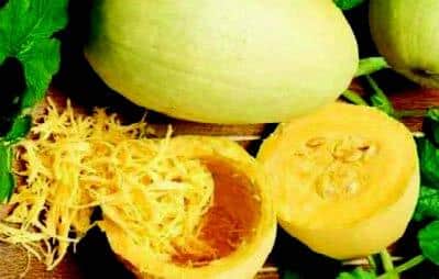 Packet of Seeds 'n Such Vegetable Spaghetti Winter Squash Seeds showing 30 seeds in a clear packet.
