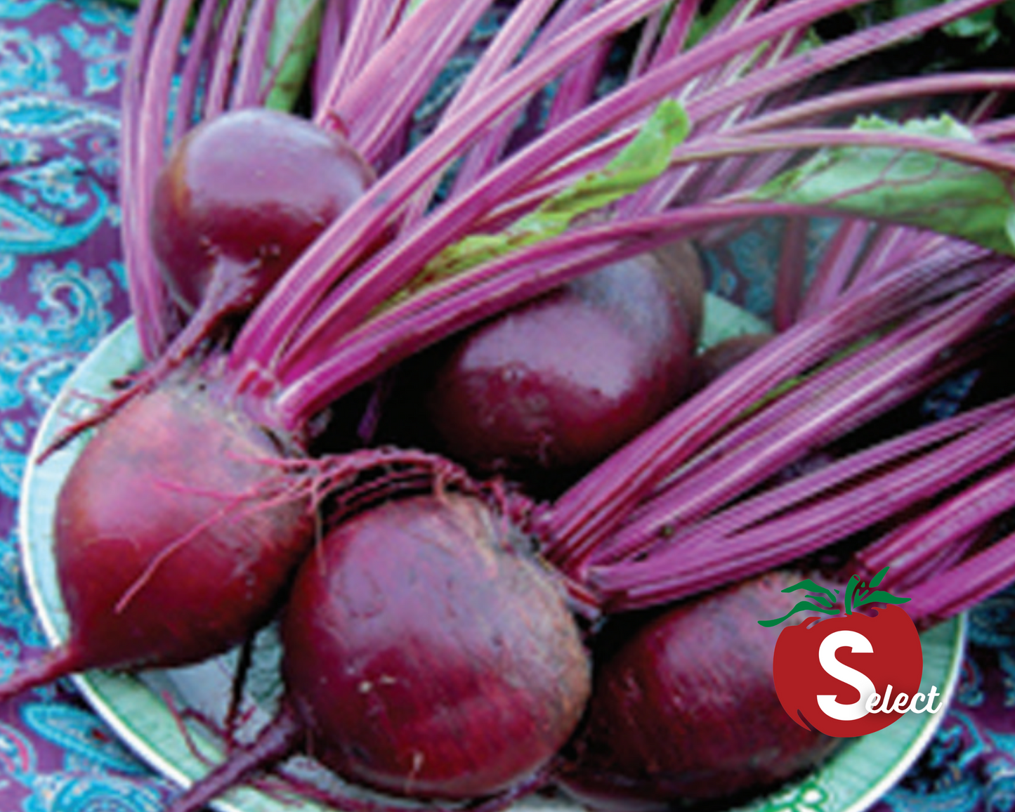 Detroit Dark Red Beet Seeds - Blessings Grow Meadows