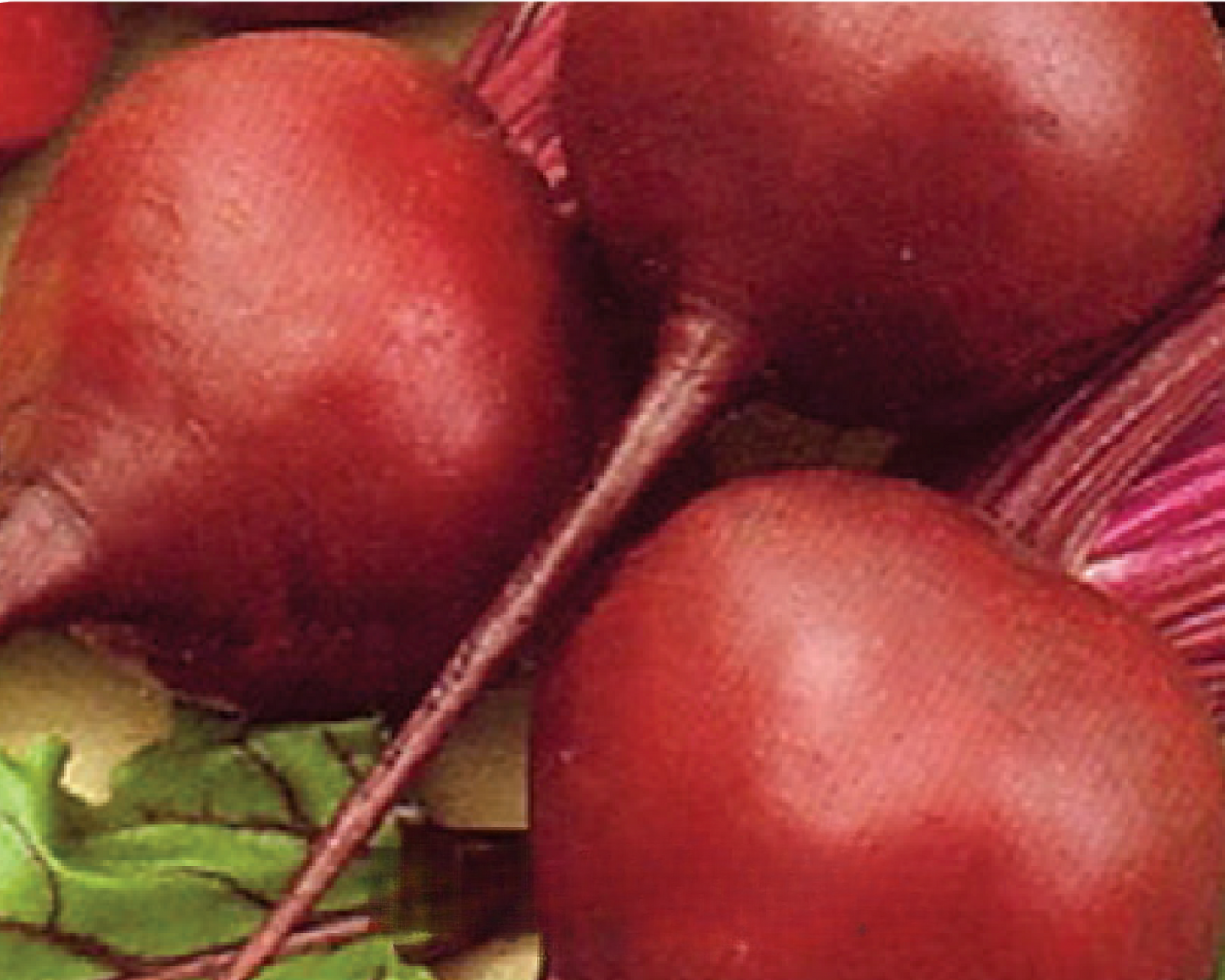 Packet of Seeds 'n Such Early Wonder Beet Seeds with 300 seeds, featuring vibrant beet root images on the label.