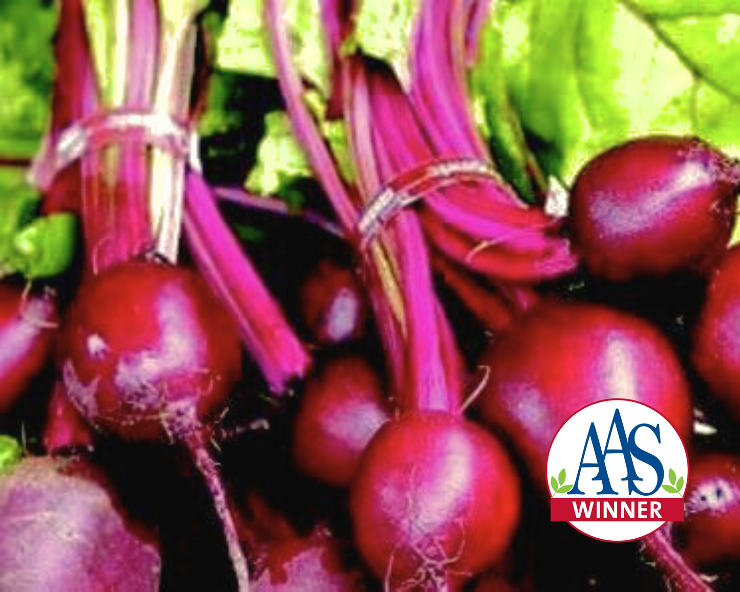 Packet of Seeds 'n Such Ruby Queen Beet Seeds showing 300 seed packet with vibrant red beet seed illustration