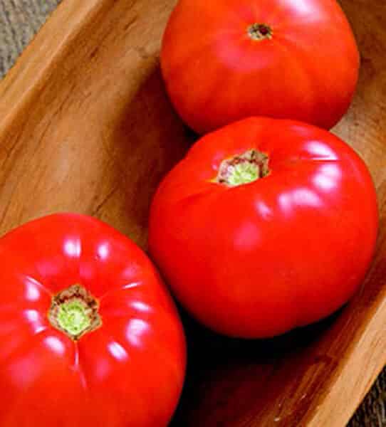 Skyway Hybrid Tomato Seeds packet from Seeds 'n Such showing five seeds and colorful label for planting and gardening.