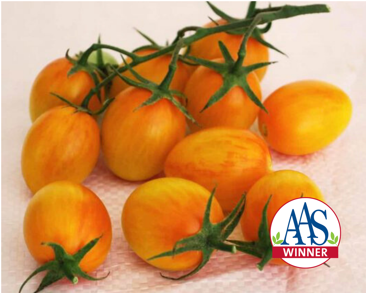 Sunset Torch Hybrid Tomato Seeds - Blessings Grow Meadows