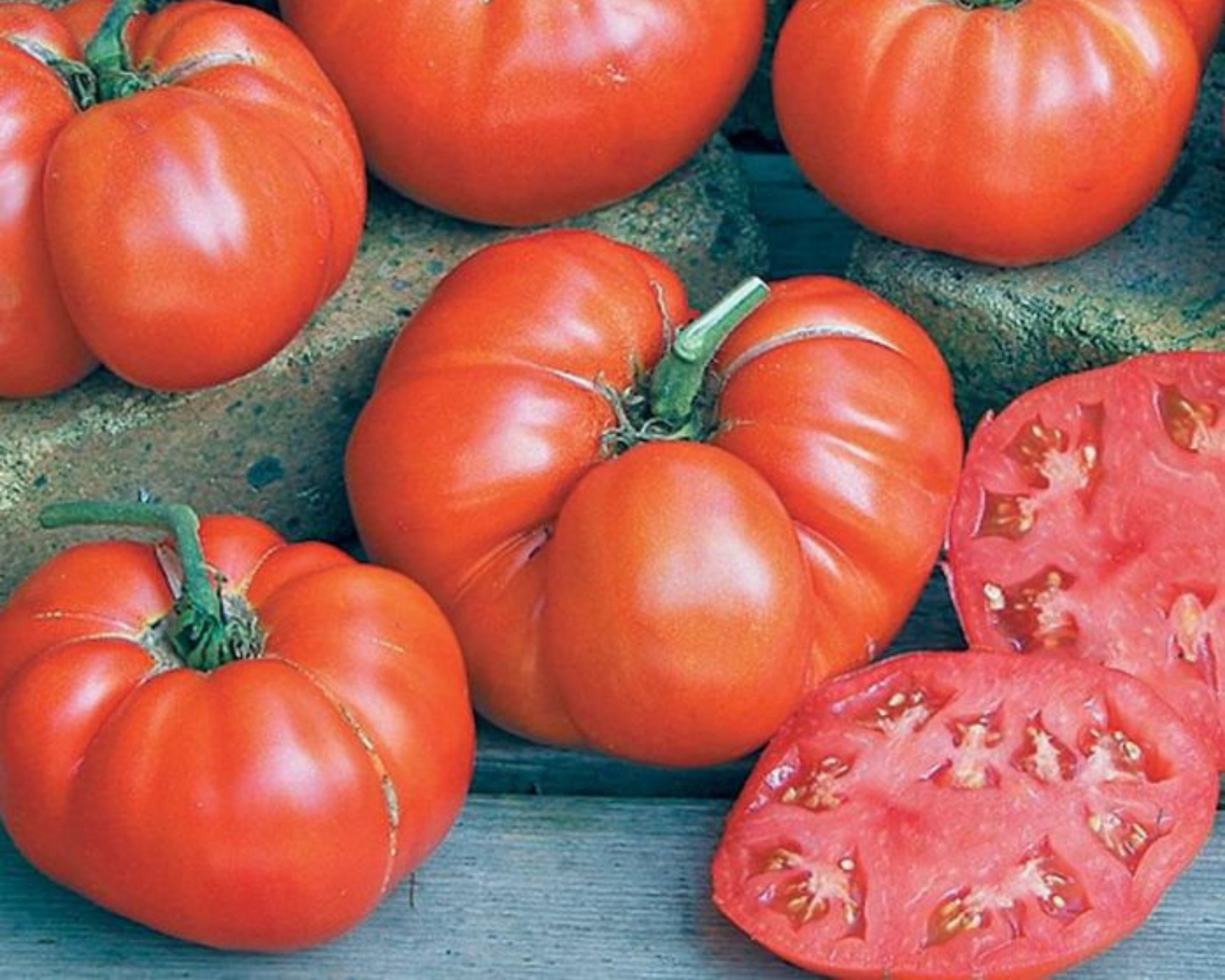 Beefsteak (or Red Ponderosa) Tomato Seeds - Blessings Grow Meadows