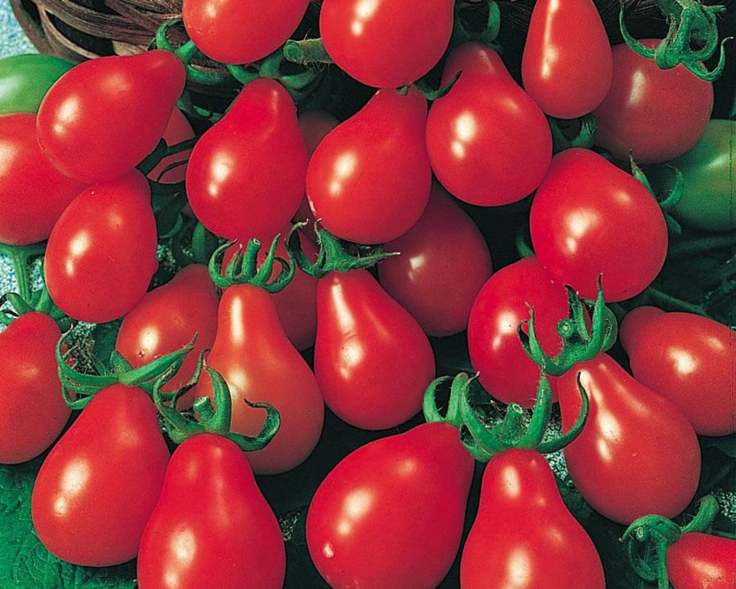 Red Pear Tomato Seeds packet from Seeds 'n Such, showing 50 seeds for growing sweet, pear-shaped red tomatoes.