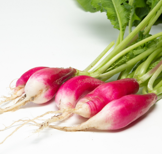Packet of Seeds 'n Such French Breakfast Radish Seeds showing vibrant radish seeds in a clear packet.
