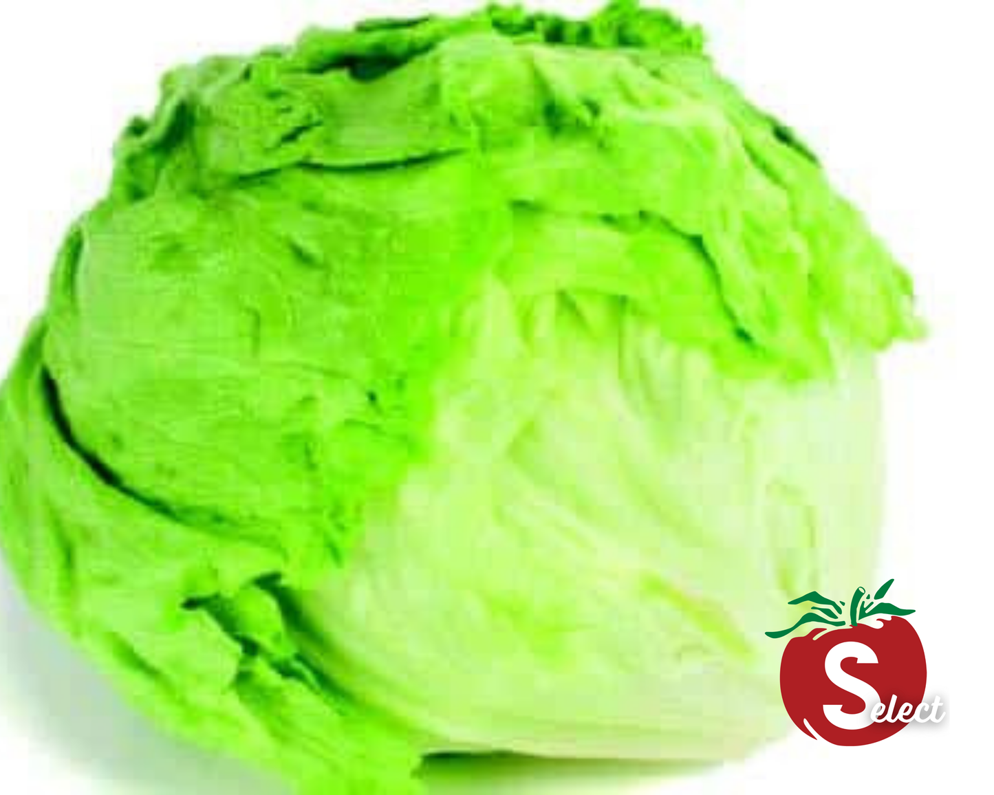 Packet of Seeds 'n Such iceberg lettuce seeds showing 500 seeds in a clear packet, ideal for planting fresh lettuce at home.