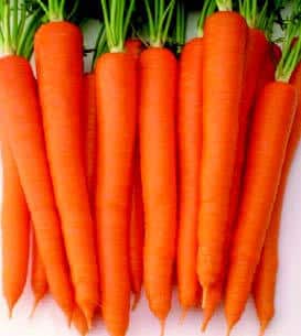 Packet of Seeds 'n Such Sugarsnax 54 Hybrid Carrot Seeds with 500 seeds in a colorful packet.