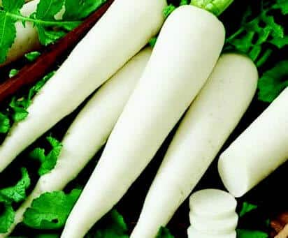 White Icicle Radish Seeds packet from Seeds 'n Such, featuring 500 seeds for planting radishes in a garden or farm.