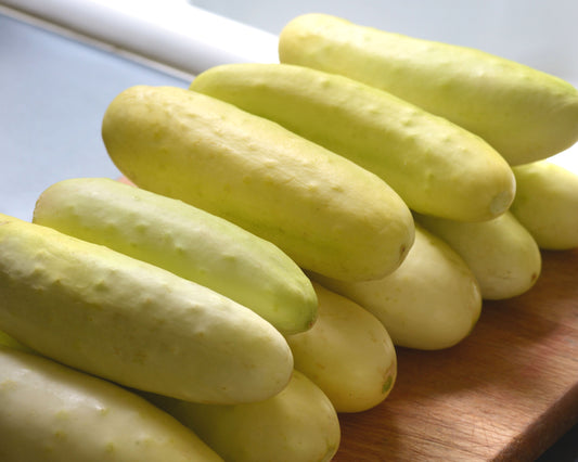 Packet of Seeds 'n Such Martini Hybrid Cucumber seeds showing 8-10 seeds in a clear packet.