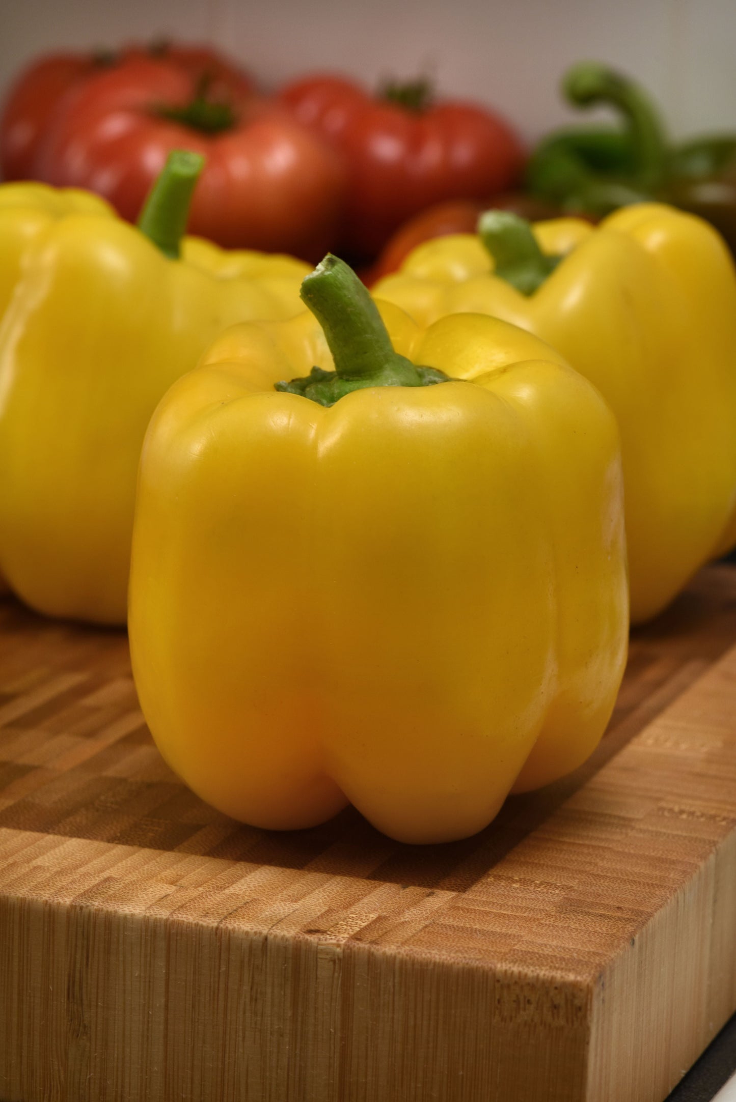 Trailblazer Hybrid Pepper Seeds packet from Seeds 'n Such, showing vibrant seed packet with 8-10 pepper seeds.