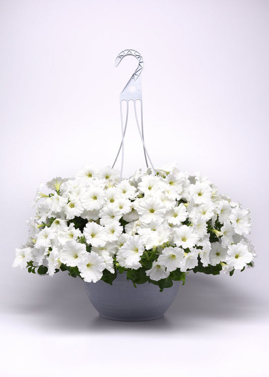Hybrid Easy Wave White Spreading Petunia Seeds by Seeds 'n Such in a packet with 8 pellets, ideal for vibrant garden displays.