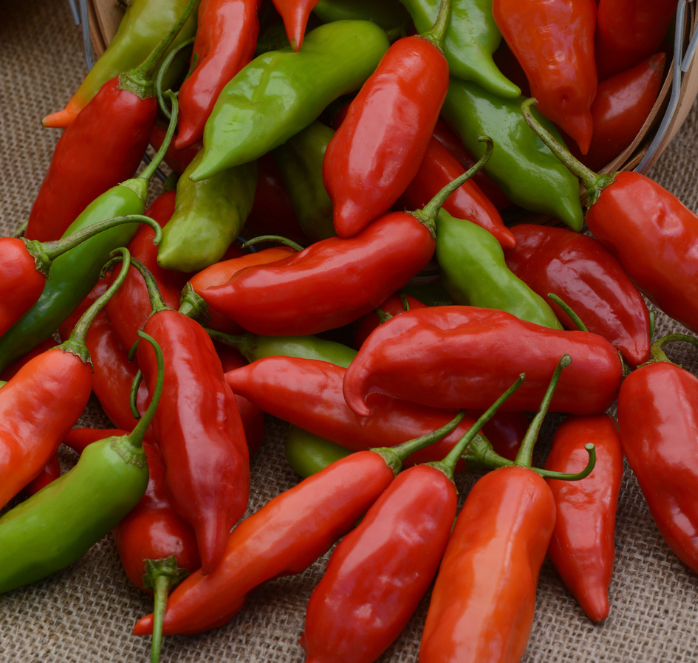 Aji Rico hybrid pepper seeds packet from Seeds 'n Such showing 8 to 10 pepper seeds in a colorful packet.
