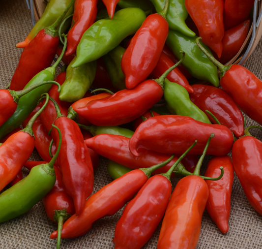 Aji Rico hybrid pepper seeds packet from Seeds 'n Such showing 8 to 10 pepper seeds in a colorful packet.