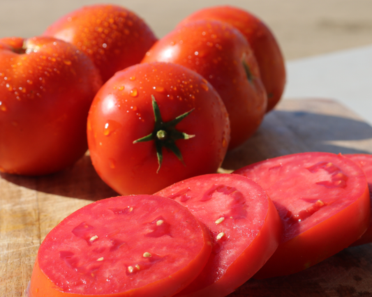 Packet of Big Beef Plus hybrid tomato seeds from Seeds 'n Such, showing 8 to 10 seeds in the packet.