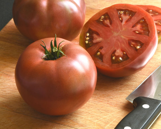Darkstar Hybrid Tomato Seeds packet from Seeds 'n Such showing 8 to 10 seeds for planting and gardening.
