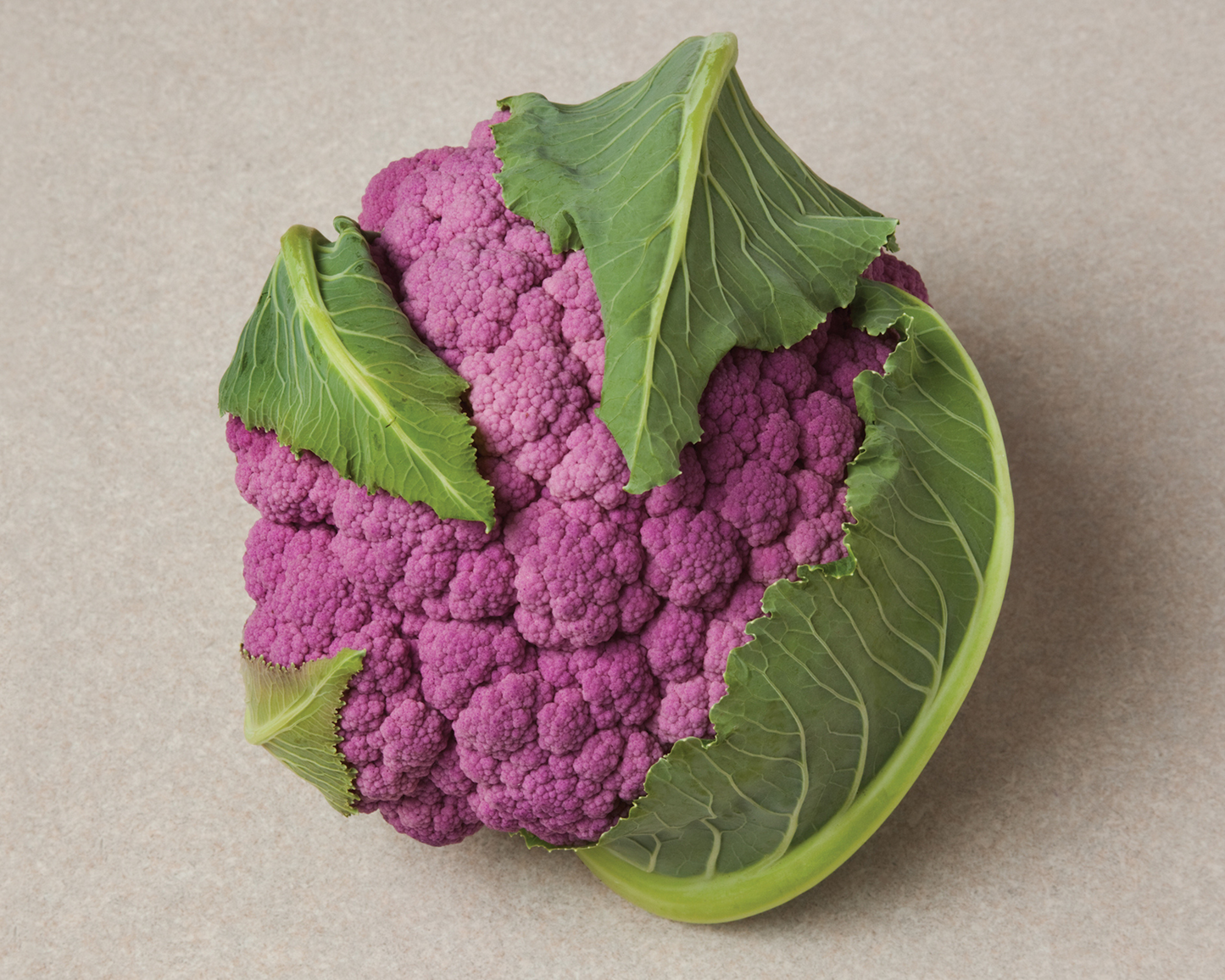 DePurple Hybrid Cauliflower Seeds packet from Seeds 'n Such showing 8-10 seeds on a colorful packet.