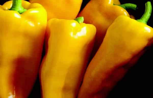 Packet of Escamillo Hybrid Pepper Seeds from Seeds 'n Such showing 8 to 10 seeds in a clear seed packet.