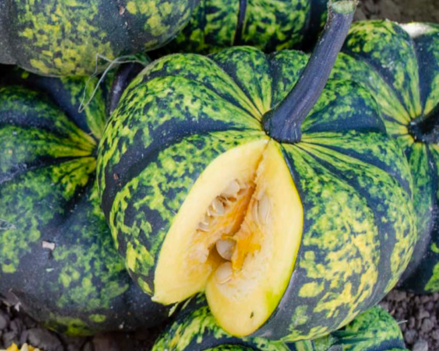 Packet of Seeds 'n Such Phantomita Hybrid Pumpkin Seeds showing 8 to 10 seeds in a clear package.
