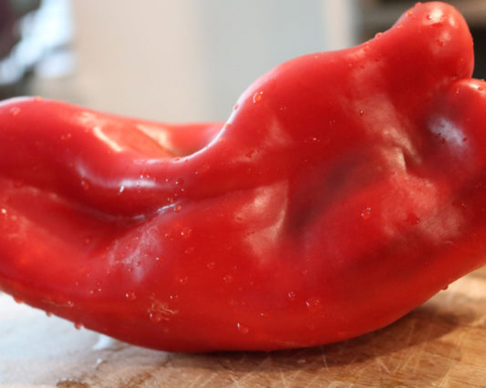 Red Impact Hybrid Pepper Seeds packet from Seeds 'n Such showing 8 to 10 seeds in a colorful packet.