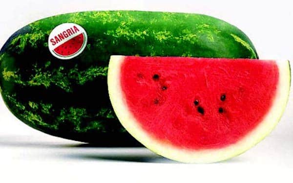 Packet of Seeds 'n Such Sangria Hybrid Watermelon Seeds showing 8 to 10 seeds in a clear packet.