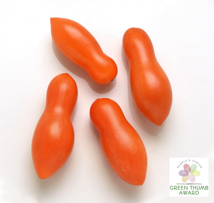Packet of Seeds 'n Such Sun Dipper Hybrid Tomato Seeds showing 8-10 seeds inside the packet.