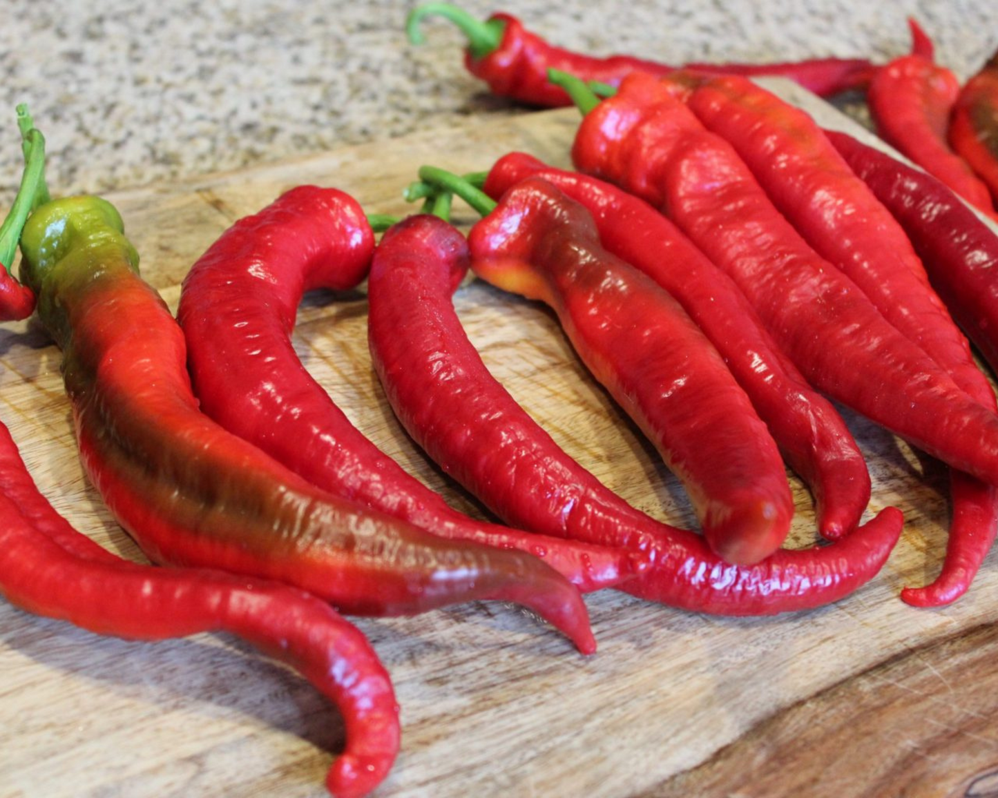 Packet of Wildcat Hybrid Cayenne Pepper Seeds by Seeds 'n Such showing 8 to 10 seeds on the packaging.